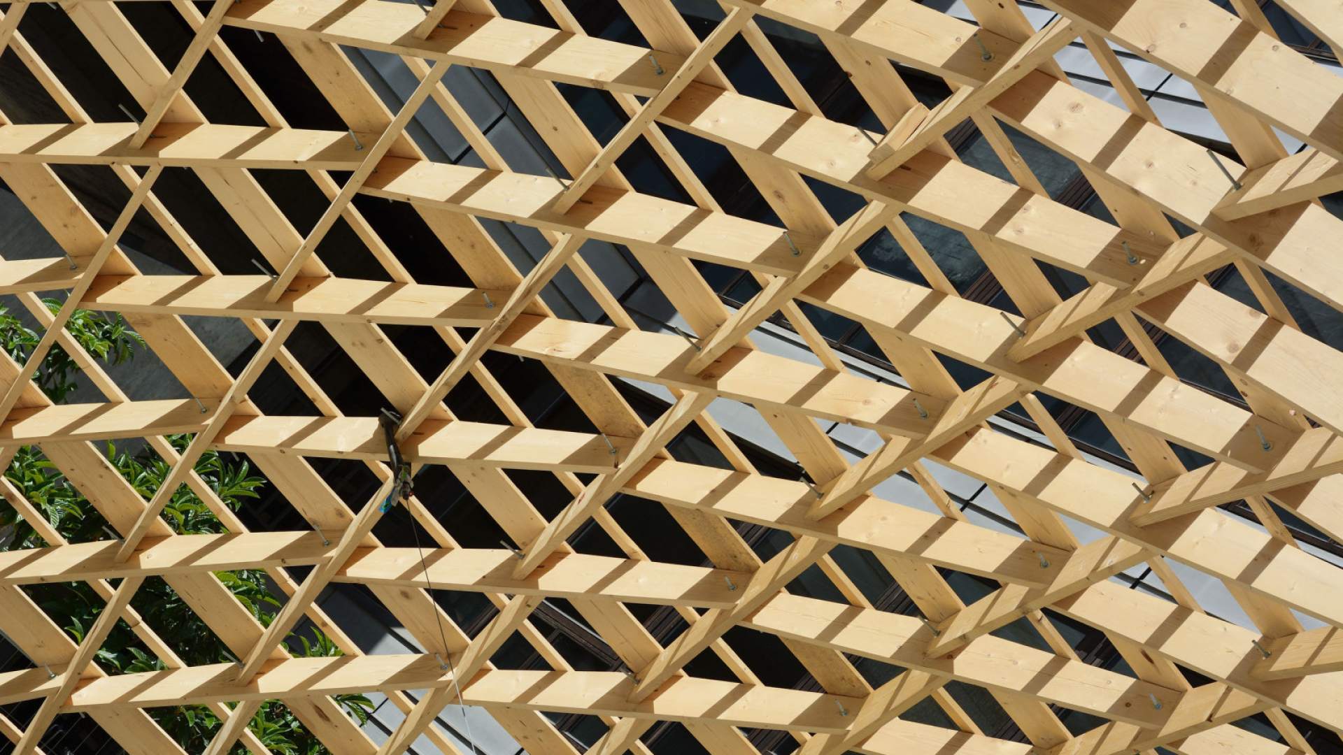 Sustainable alternatives to traditional building materials