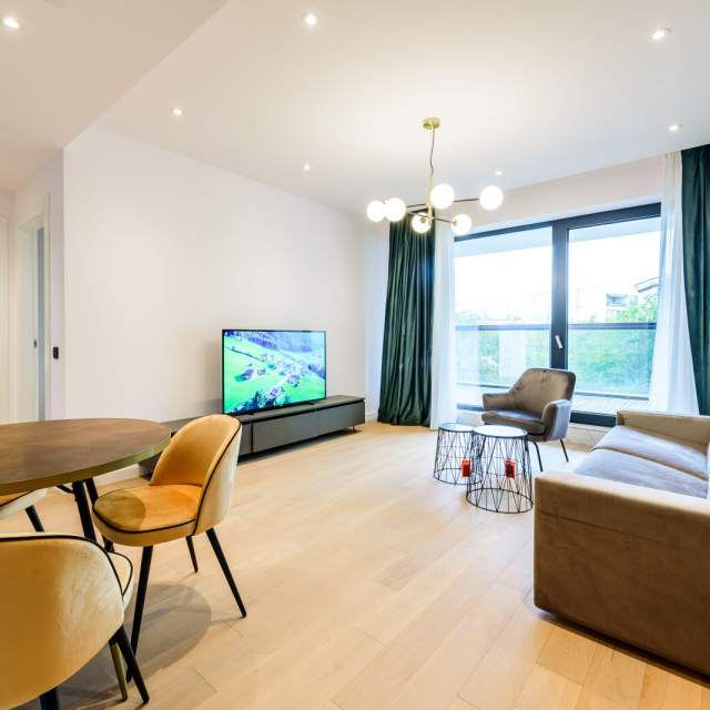 1 Bedroom Apartment For Rent In One Herăstrău Towers, Herăstrău, București