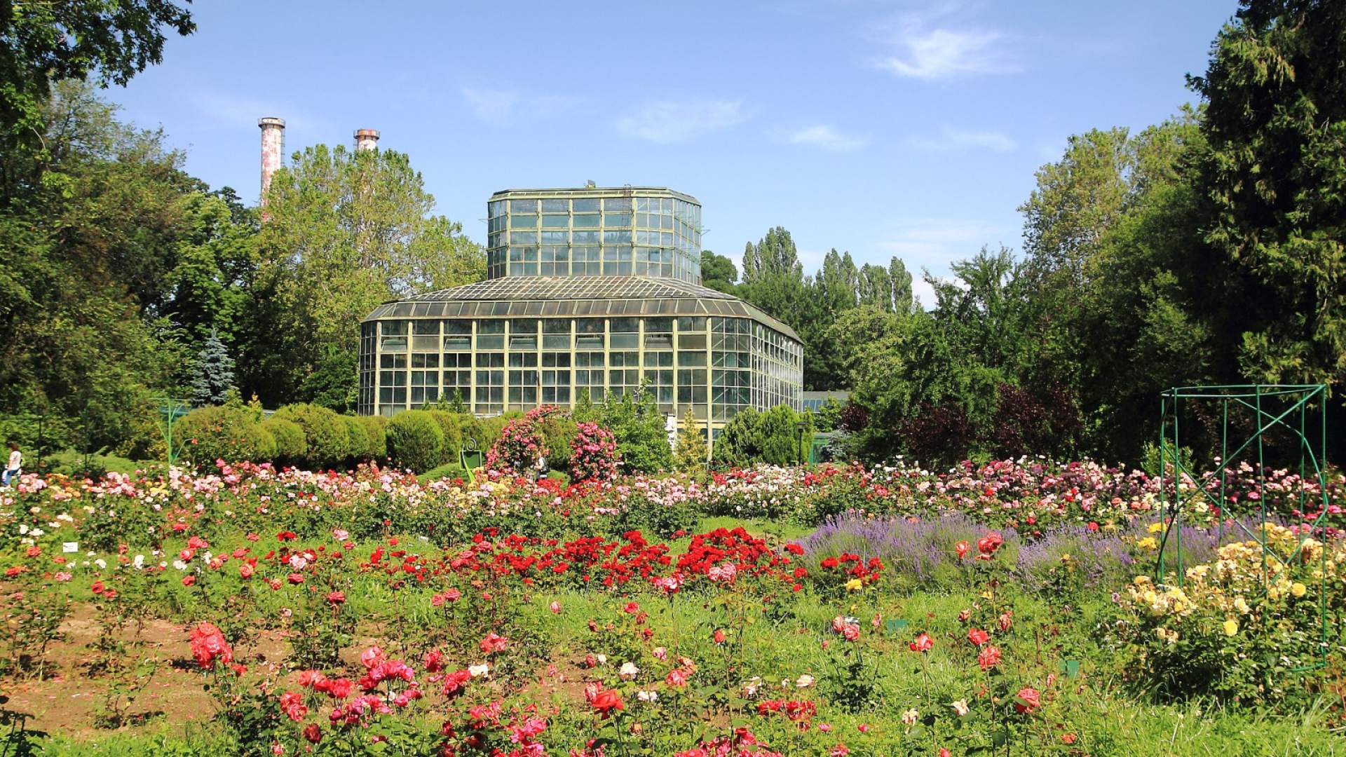 A visit to the Botanical Garden in Bucharest