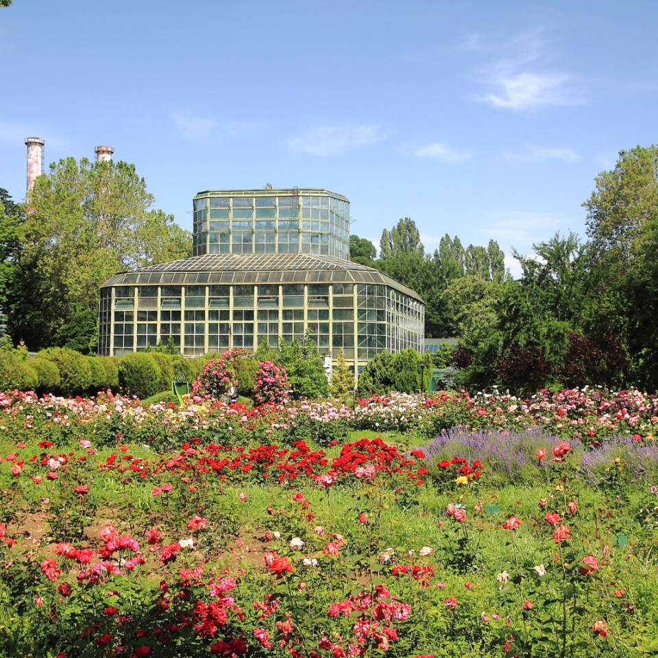 A visit to the Botanical Garden in Bucharest
