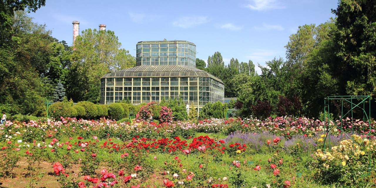 A visit to the Botanical Garden in Bucharest