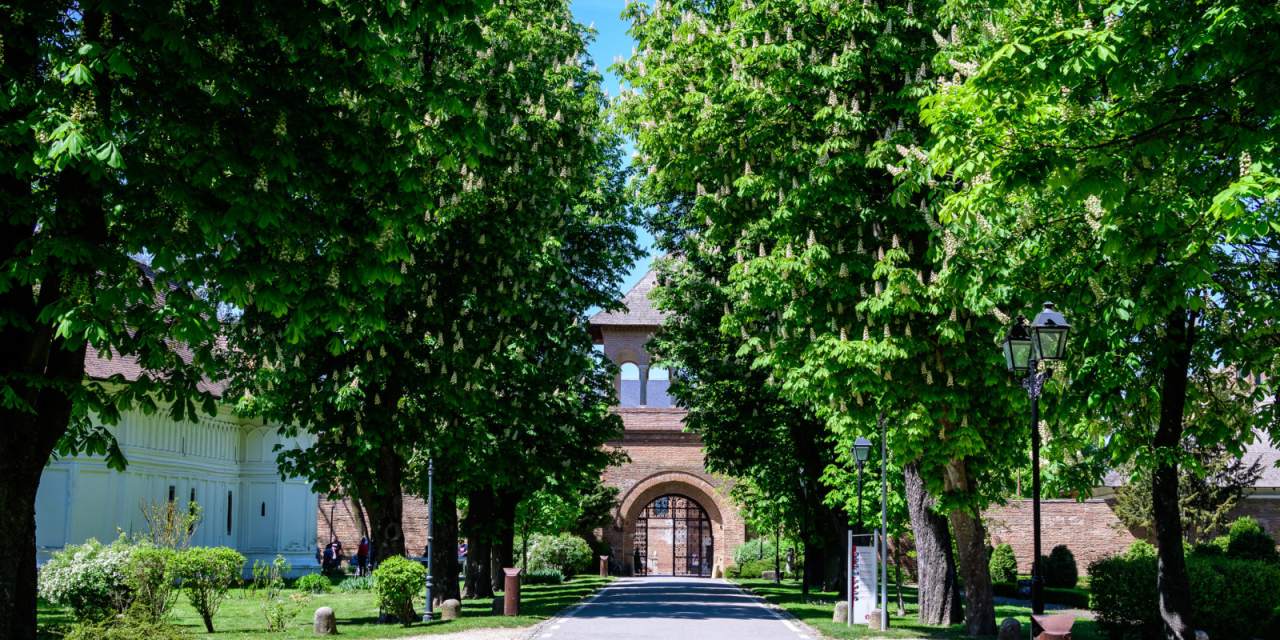 Sightseeing near Bucharest