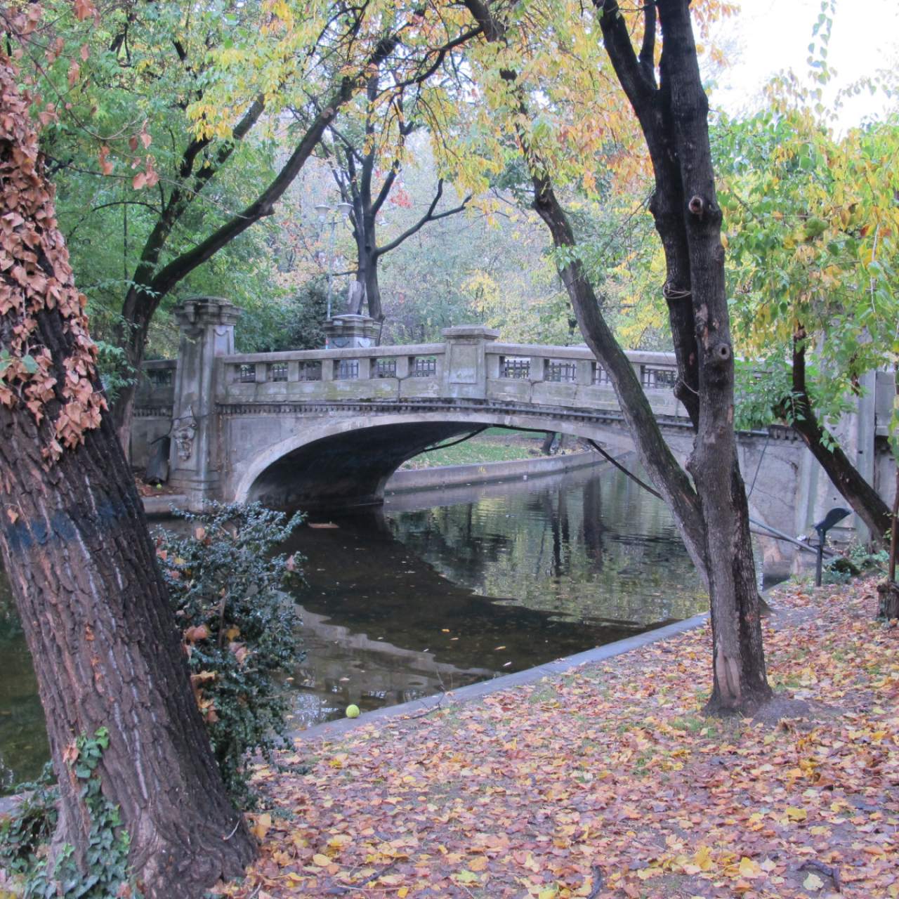 Autumn activities in Bucharest