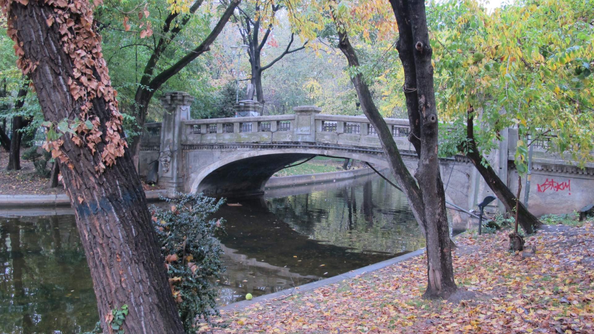 Autumn activities in Bucharest