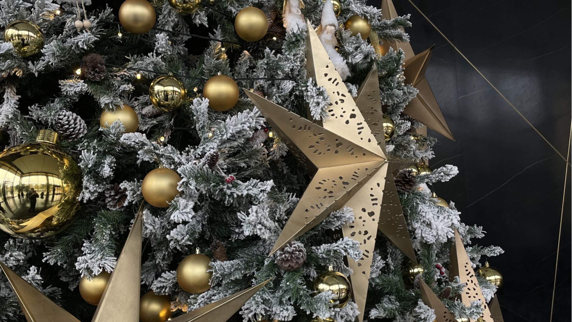 Funny DIY Christmas tree ideas