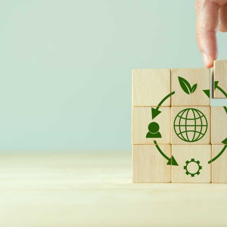 Cum să implementezi o economie circulară în sectorul de business