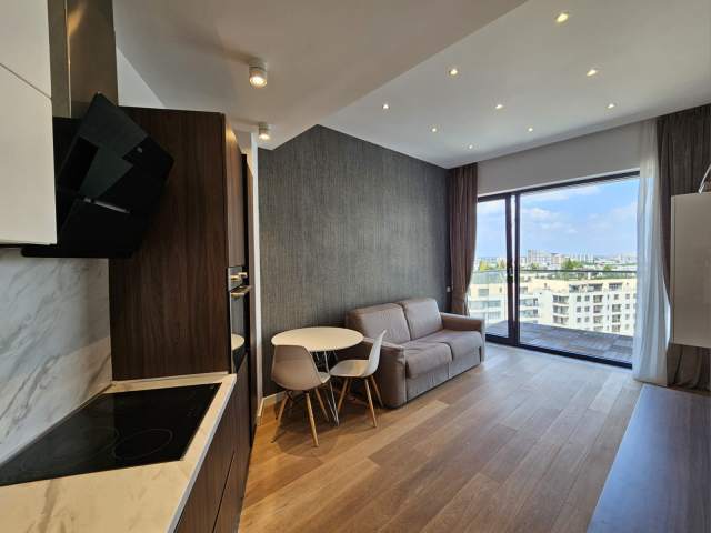 1 Bedroom Apartment For Rent In One Herăstrău Park