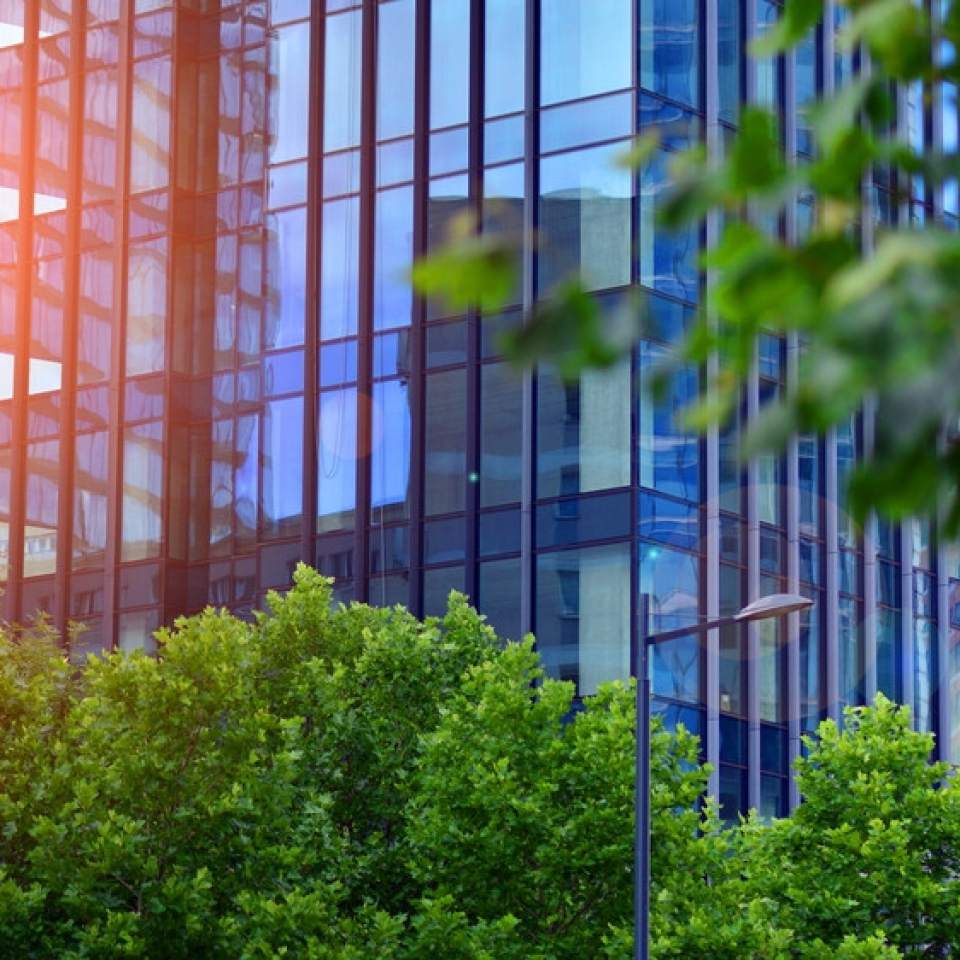 De ce tehnologia verde poate fi considerată tehnologia viitorului în business