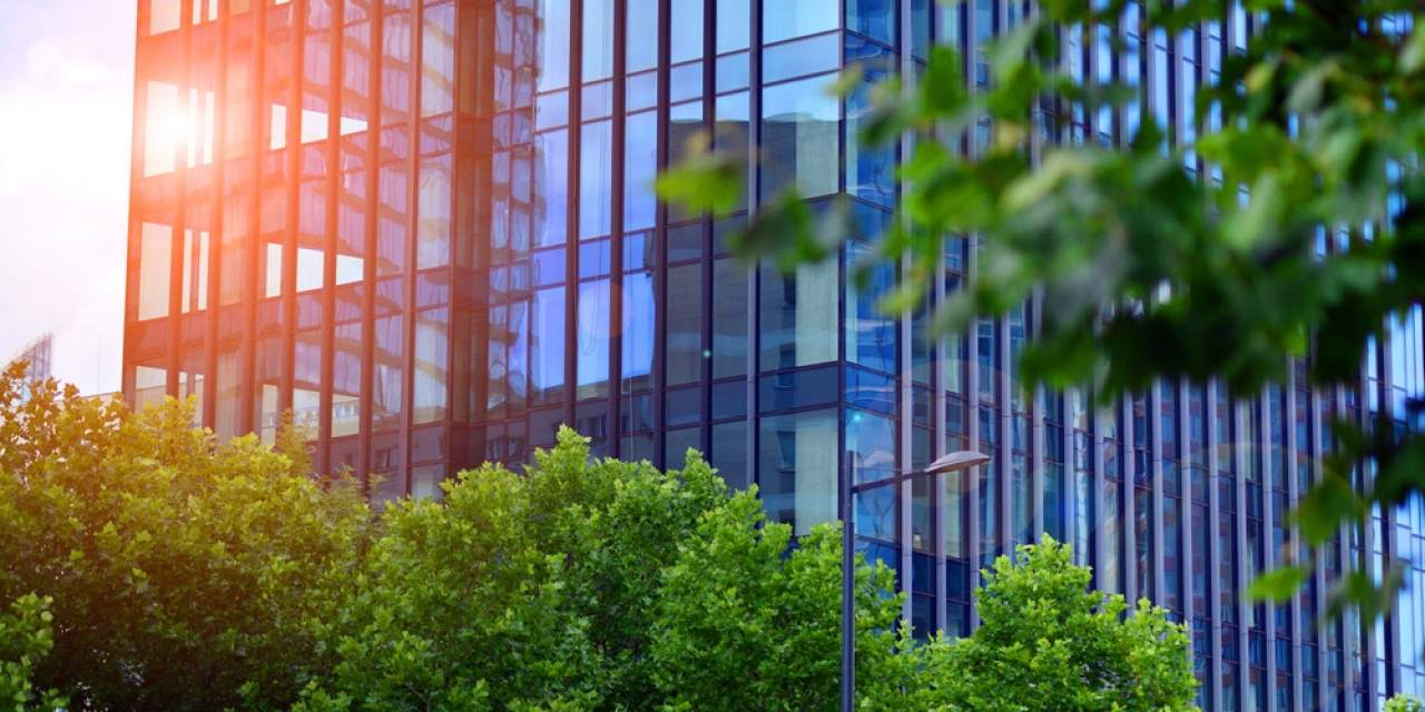 De ce tehnologia verde poate fi considerată tehnologia viitorului în business