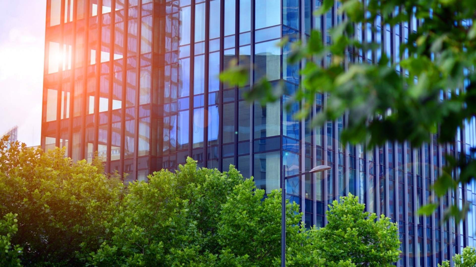 De ce tehnologia verde poate fi considerată tehnologia viitorului în business