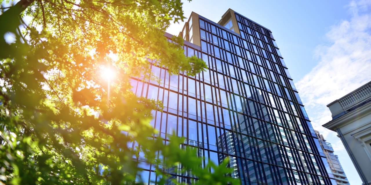 Totul despre tehnicile de negociere cu partenerii de business