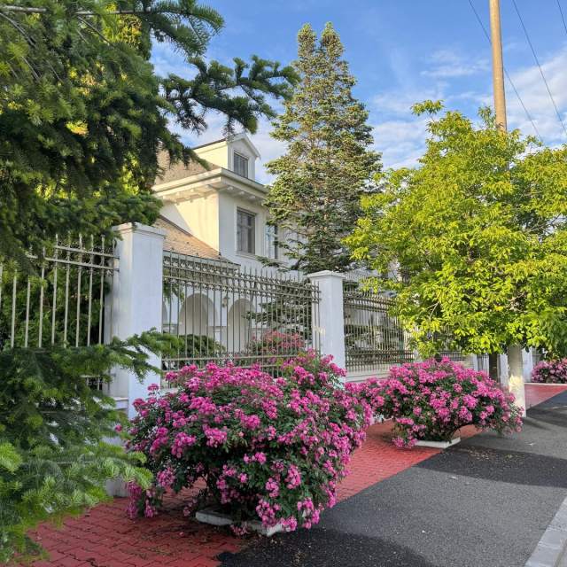 Vila eleganta cu gradina luxurianta in Otopeni