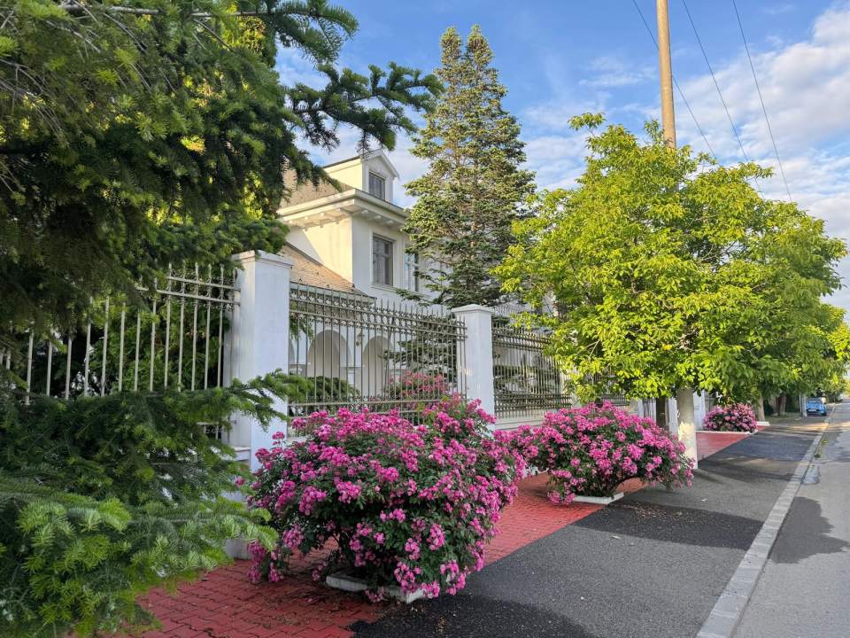 Vila eleganta cu gradina luxurianta in Otopeni