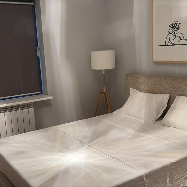 Apartament cu 2 camere de închiriat în One Floreasca Lake, Floreasca, București