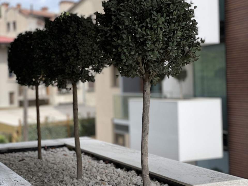 2 Bedroom Apartment For Rent In One Charles De Gaulle, Primăverii, Sector 1 photo no. 7