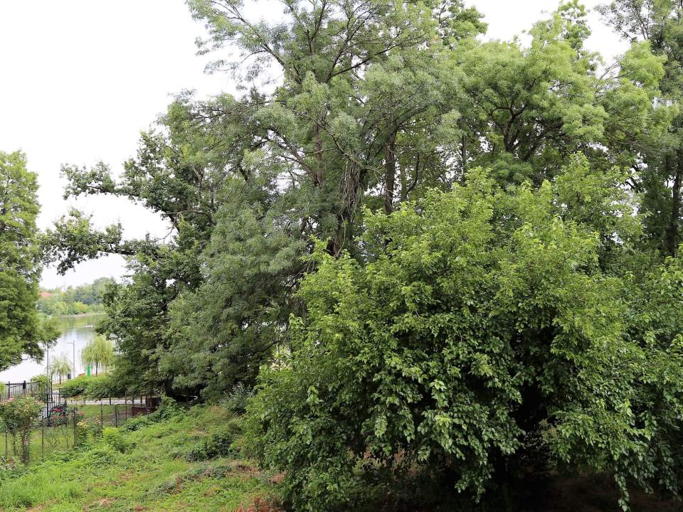 3 Bedroom Apartment For Sale In One Floreasca Lake, Floreasca, Sector 1 photo no. 12