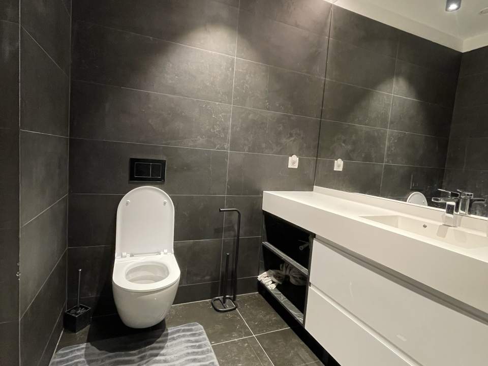 1 Bedroom Apartment For Rent In One Mircea Eliade, Floreasca, Sector 1 photo no. 10