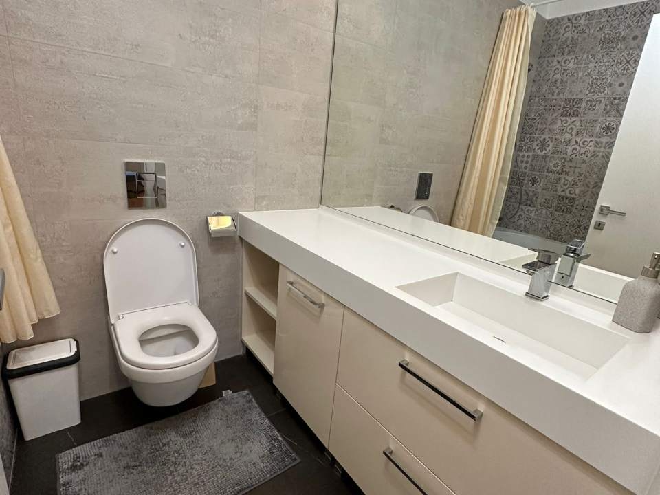 Apartament cu 2 camere de închiriat în One Herăstrău Park, Herăstrău, Sector 1 poza nr. 8