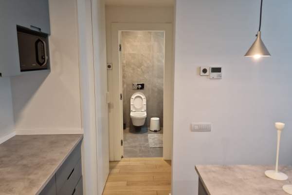Apartament cu 2 camere de închiriat în One Herăstrău Plaza