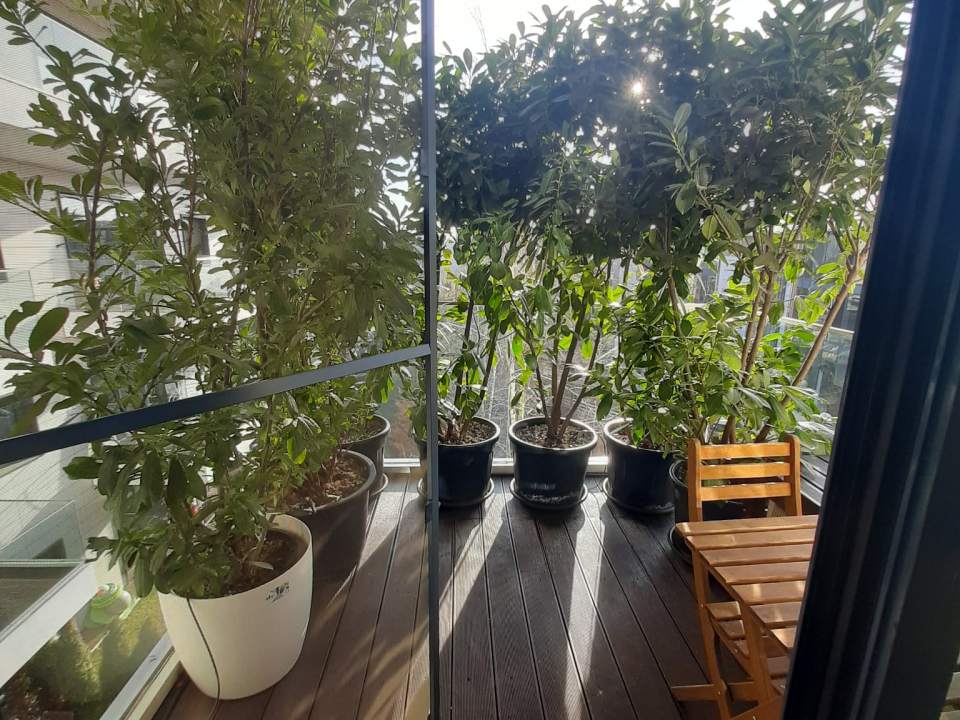 Apartament cu 2 camere de închiriat în One Floreasca Lake, Floreasca, Sector 1 poza nr. 8