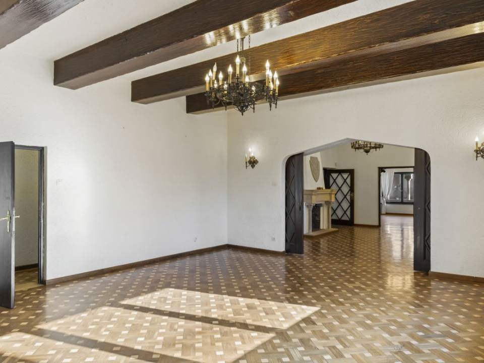 Villa Constantin Silvestri in Dorobanti photo no. 22