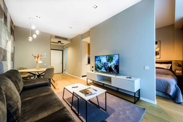 1 Bedroom Apartment For Rent In One Mircea Eliade