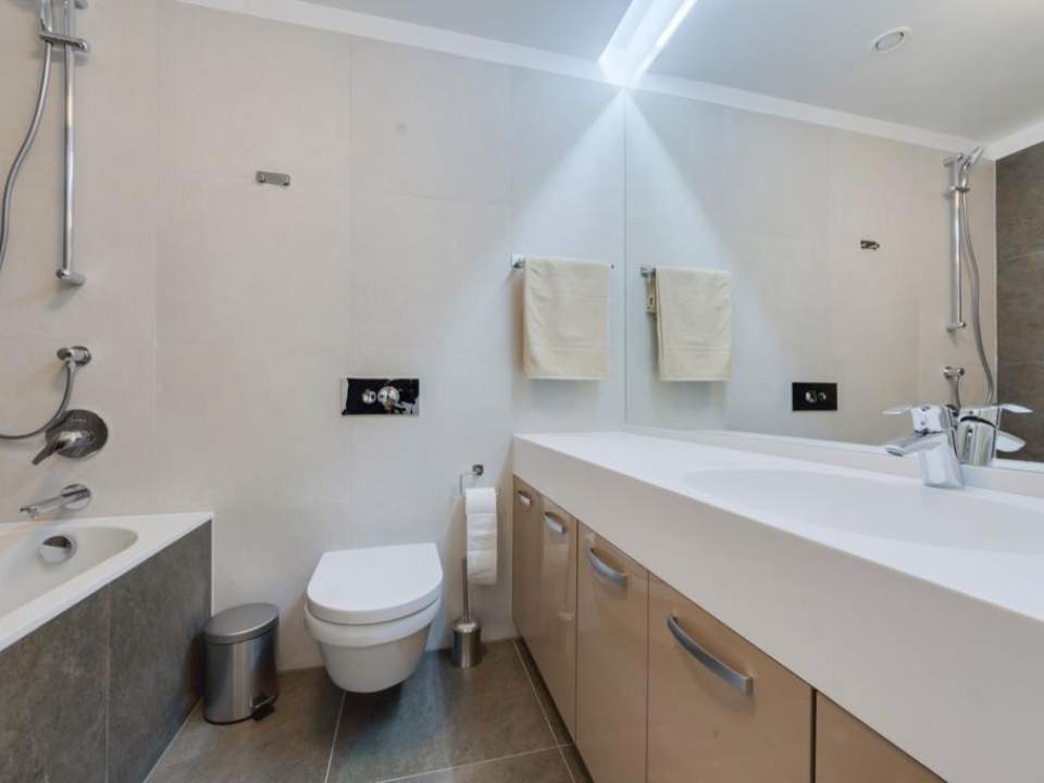 Apartament cu 2 camere de închiriat în One Herăstrău Plaza, Herăstrău, Sector 1 poza nr. 3