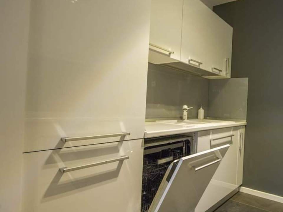 1 Bedroom Apartment For Rent In One Floreasca Lake, Floreasca, Sector 1 photo no. 4