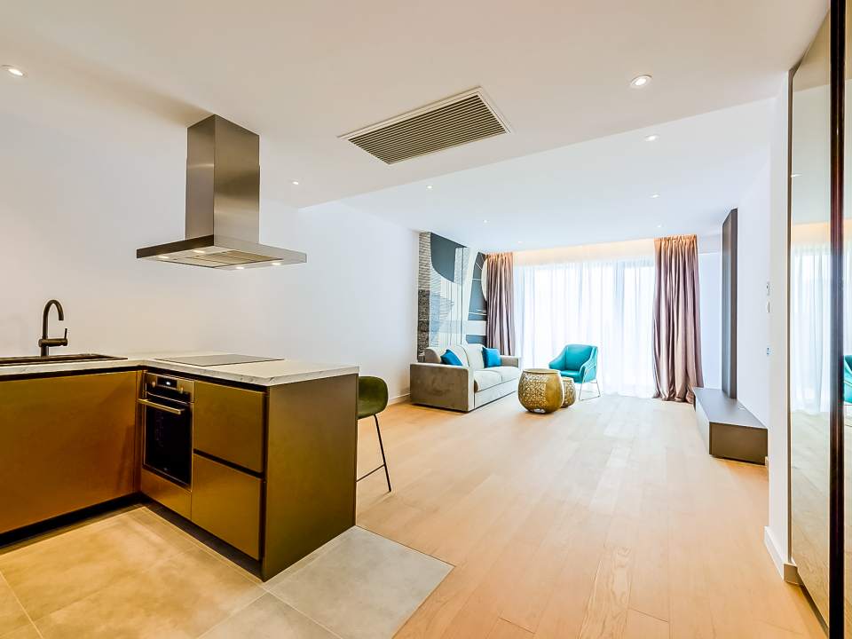 Apartament cu 2 camere de închiriat în One Herăstrău Towers, Herăstrău, Sector 1 poza nr. 1