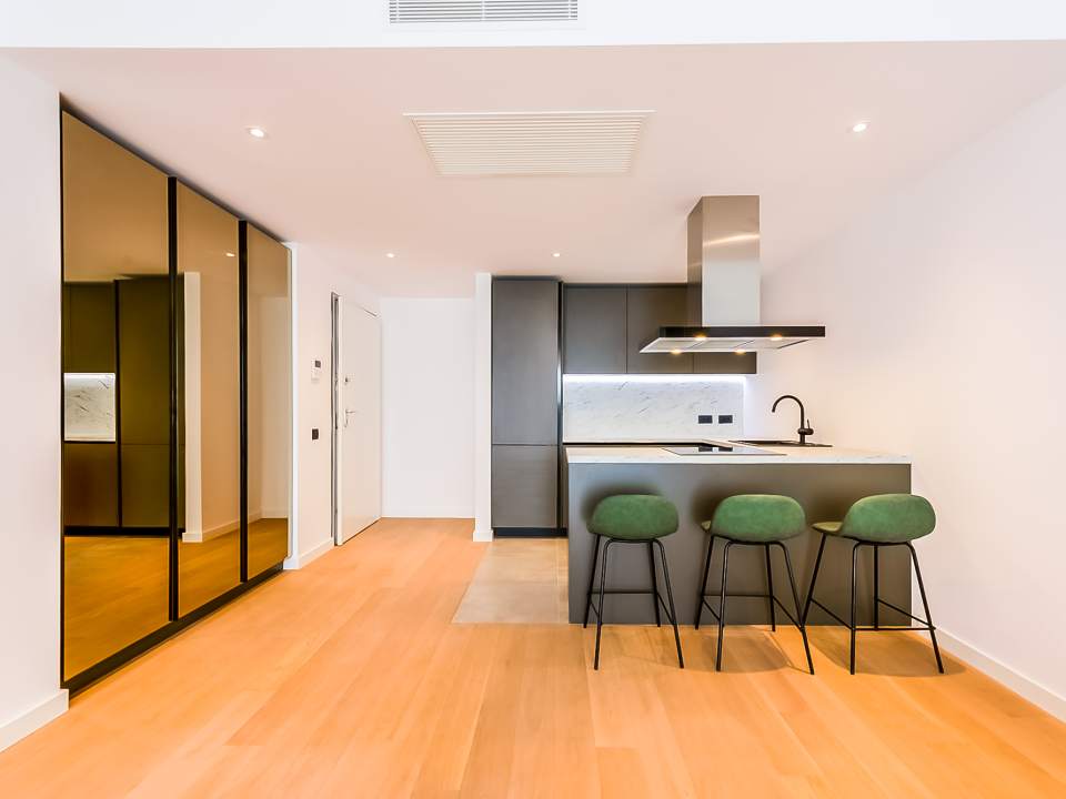 Apartament cu 2 camere de închiriat în One Herăstrău Towers, Herăstrău, Sector 1 poza nr. 4