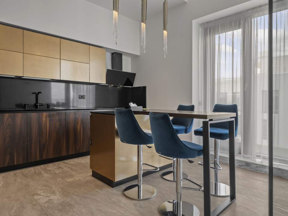 4 Bedroom Penthouse For Sale In One Herăstrău Plaza, Herăstrău, Sector 1 photo no. 10