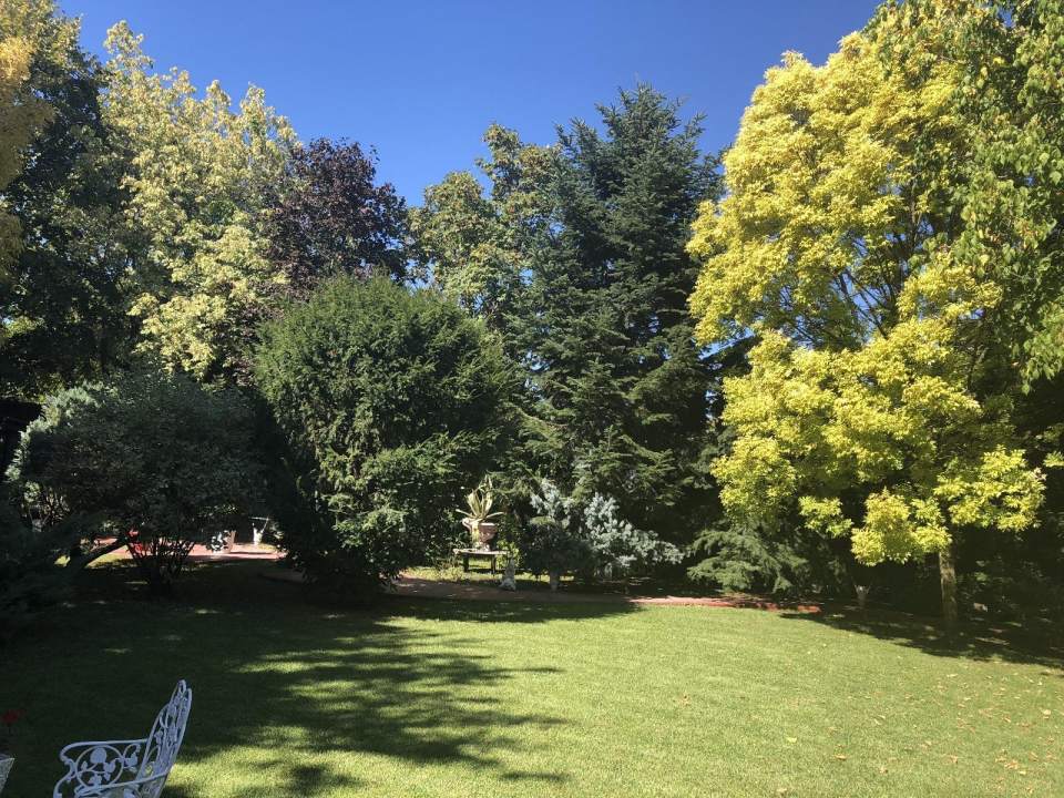 Vila eleganta cu gradina luxurianta in Otopeni poza nr. 10