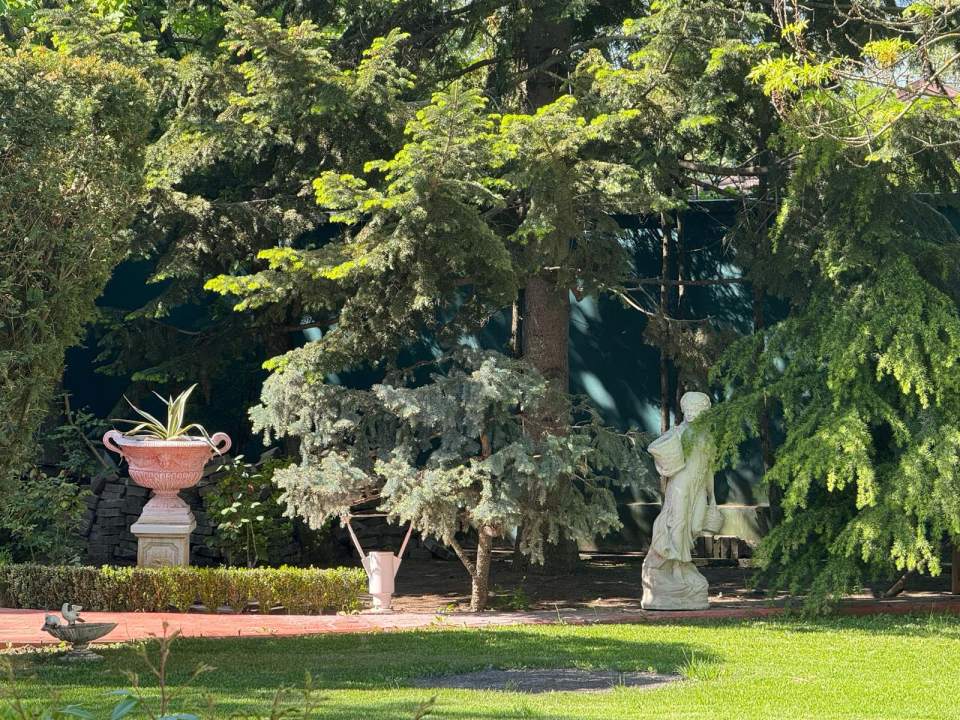 Vila eleganta cu gradina luxurianta in Otopeni poza nr. 16