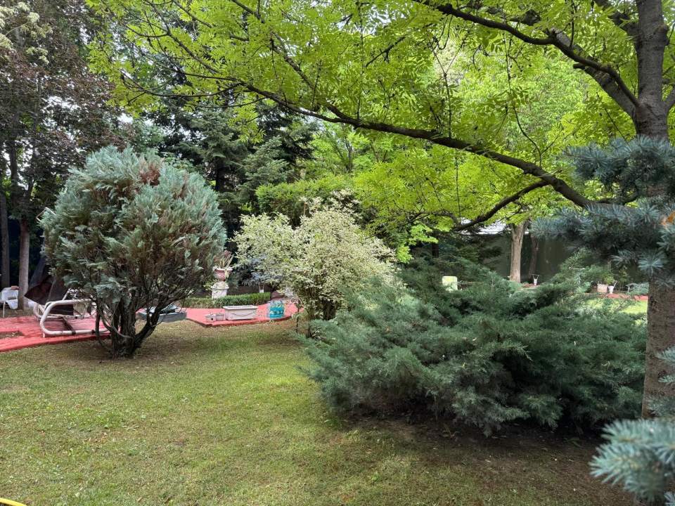 Vila eleganta cu gradina luxurianta in Otopeni poza nr. 25