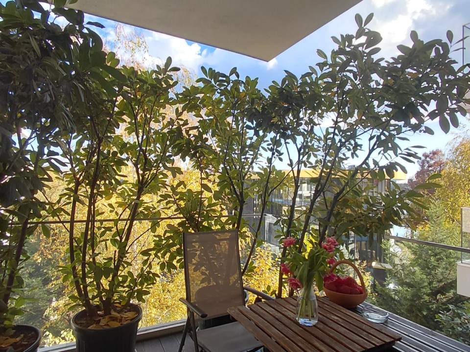 1 Bedroom Apartment For Rent In One Floreasca Lake, Floreasca, Sector 1 photo no. 6