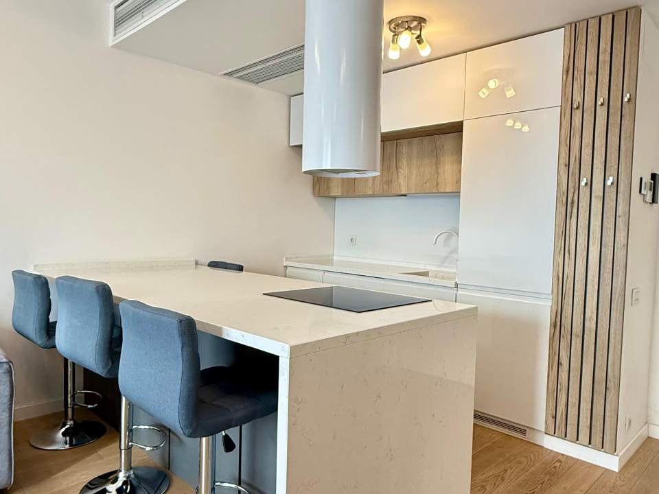 1 Bedroom Apartment For Rent In One Herăstrău Plaza, Herăstrău, Sector 1 photo no. 4